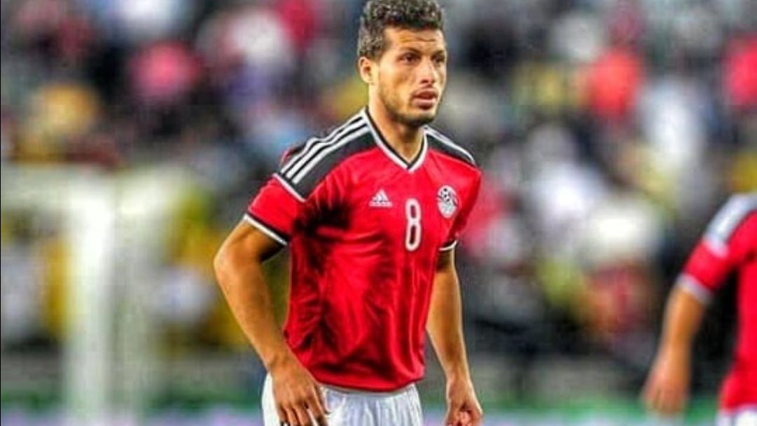 طارق حامد 