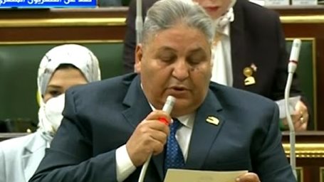 النائب وفيق عزت عضو مجلس النواب 