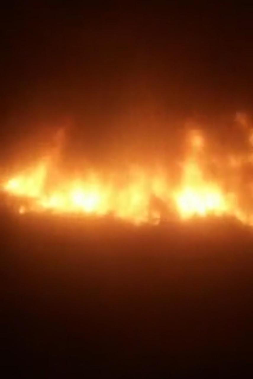 a4fa1d61-e32a-456d-94e7-c4af3f150ca4