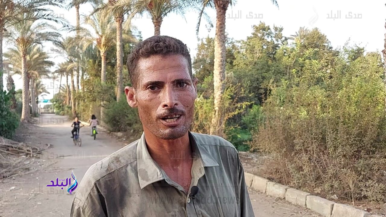 بيومي احمد طالع النخل 