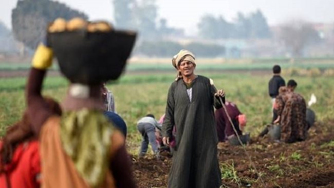 عيد الفلاح المصري 