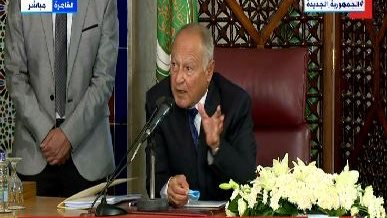 احمد ابو الغيط 