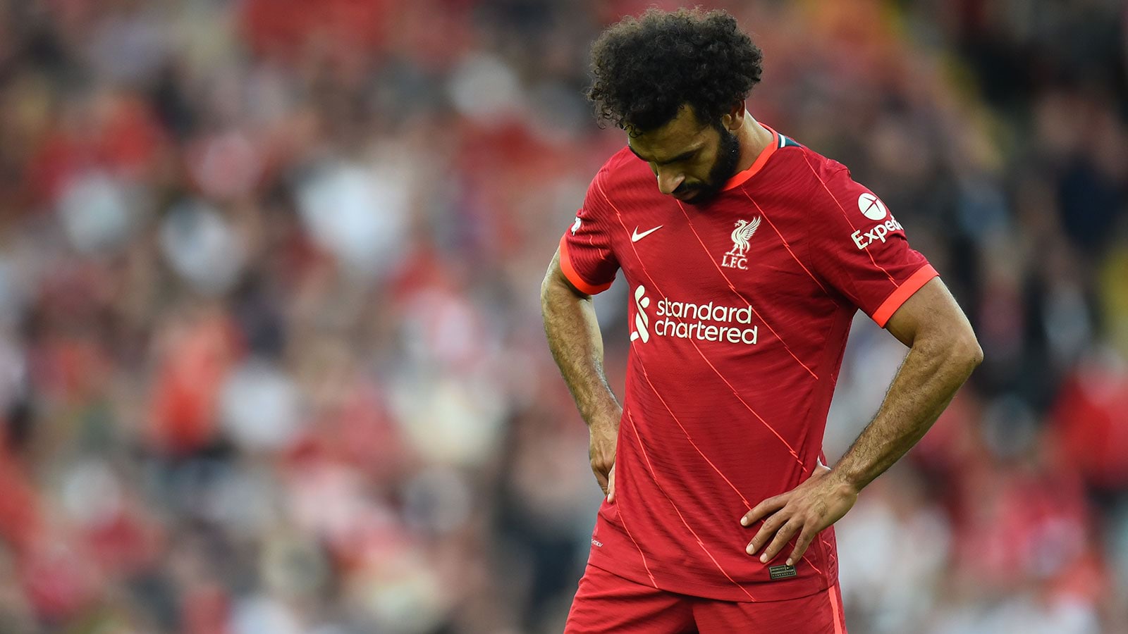محمد صلاح نجم فريق ليفربول