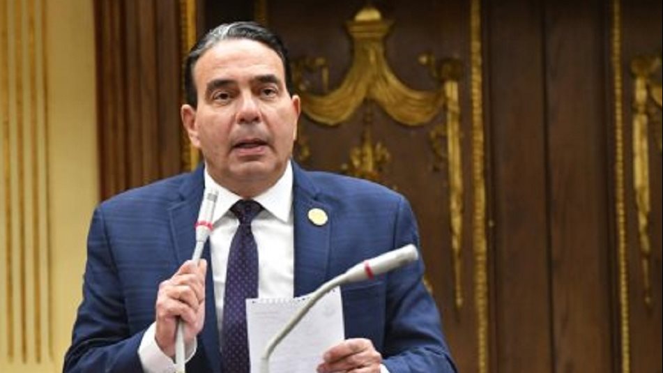  الدكتور أيمن أبو العلا، وكيل لجنة حقوق الإنسان بمجلس النواب