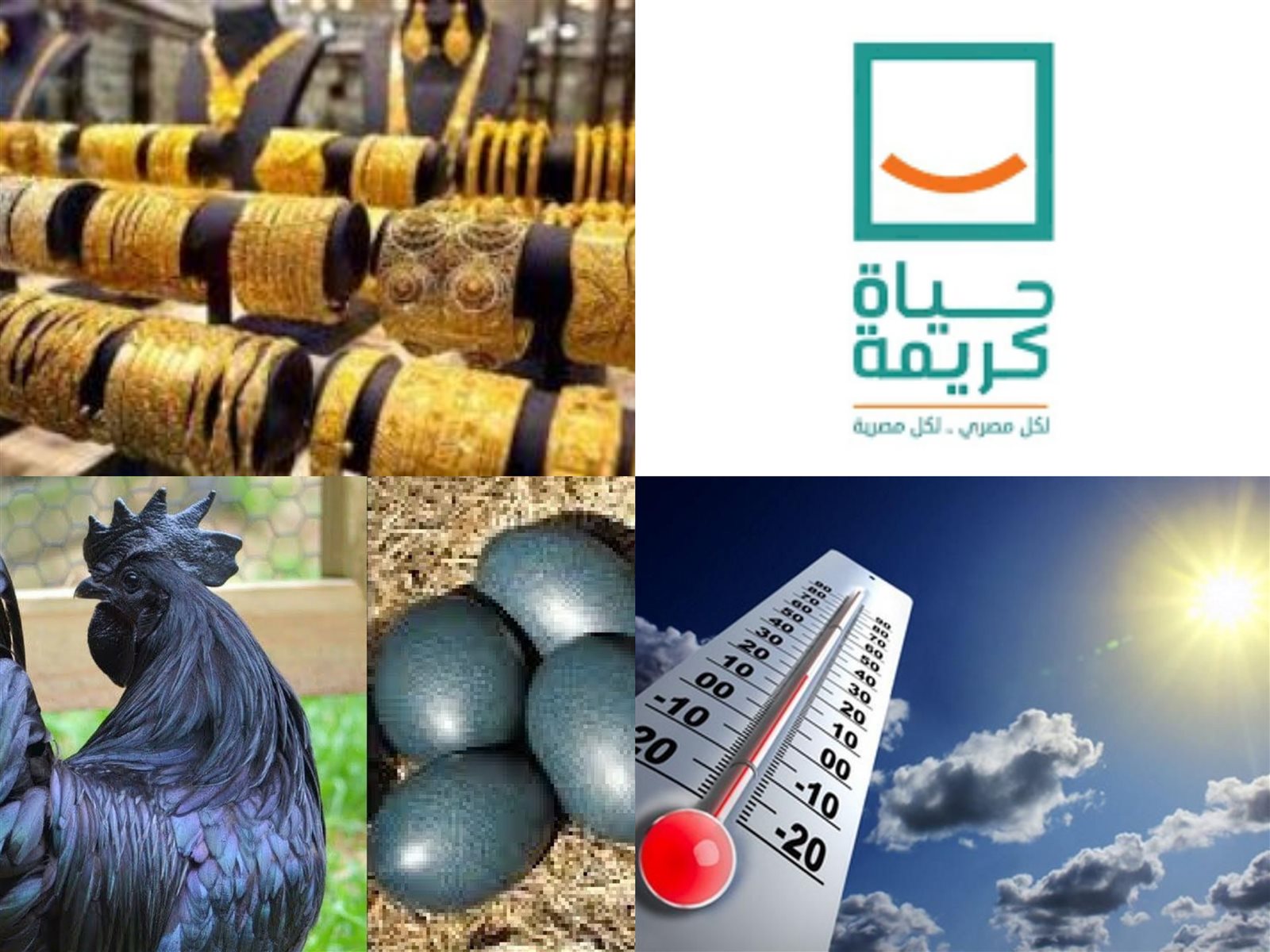 أخبار التوك شو
