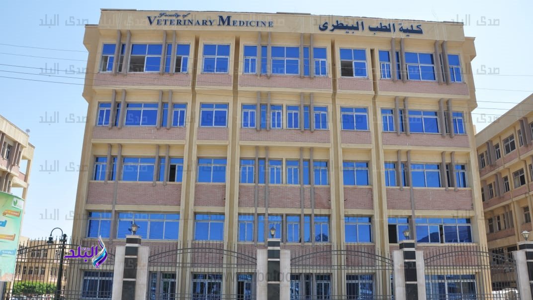 بيطري كفر الشيخ