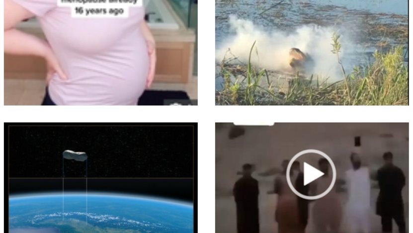 نشرة المنوعات