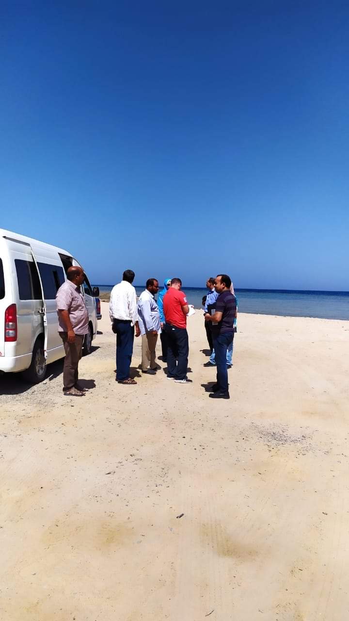 صورة موضوعية