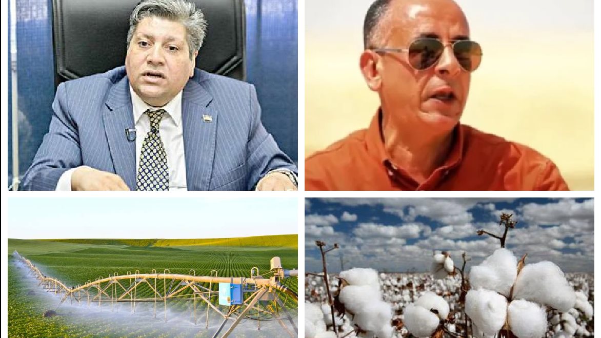 نشرة أخبار التوك شو 