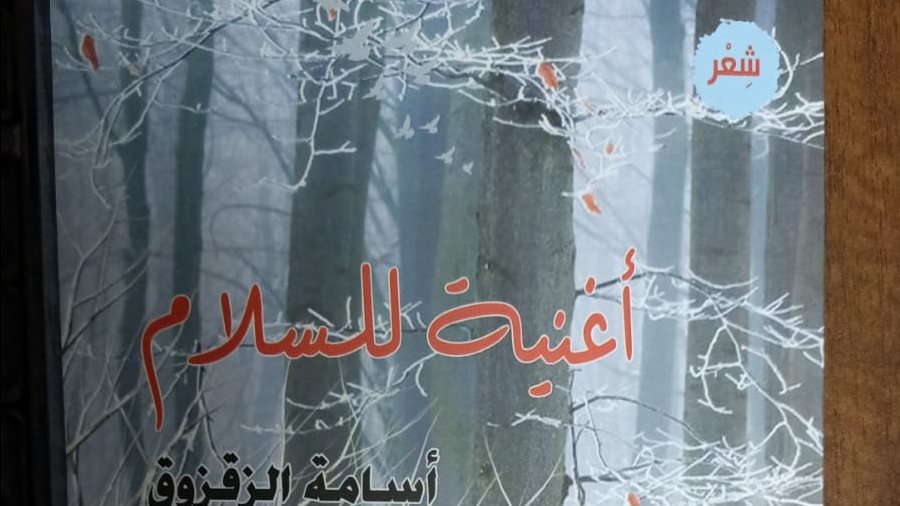 غلاف الديوان
