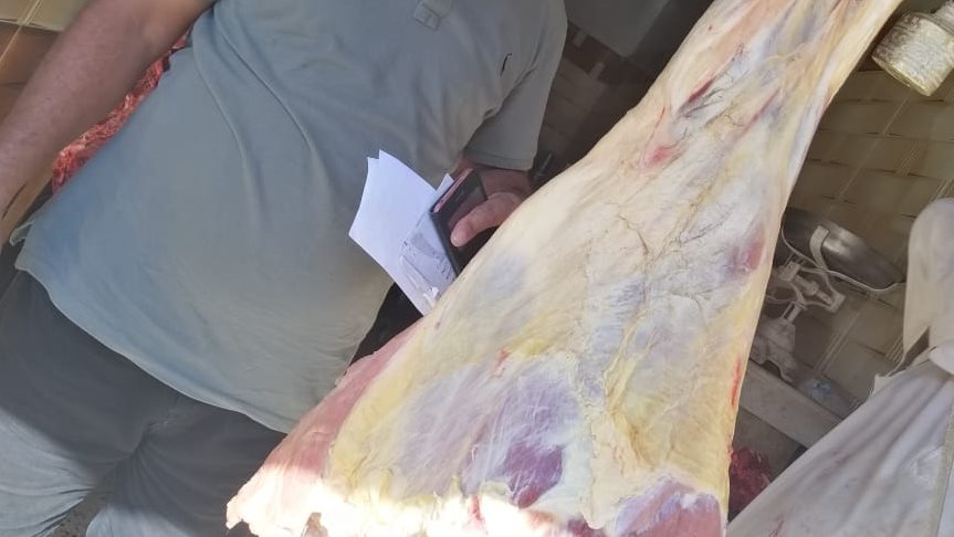 بيطرى قنا يحرر14 محضر ذبح خارج المجازر الحكومية 