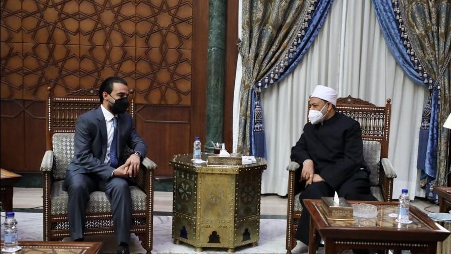لقاء شيخ الازهر لوفد من العراق 
