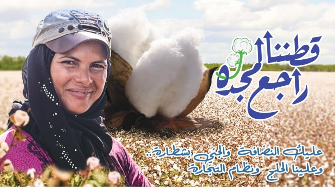منظومة تداول القطن الجديدة