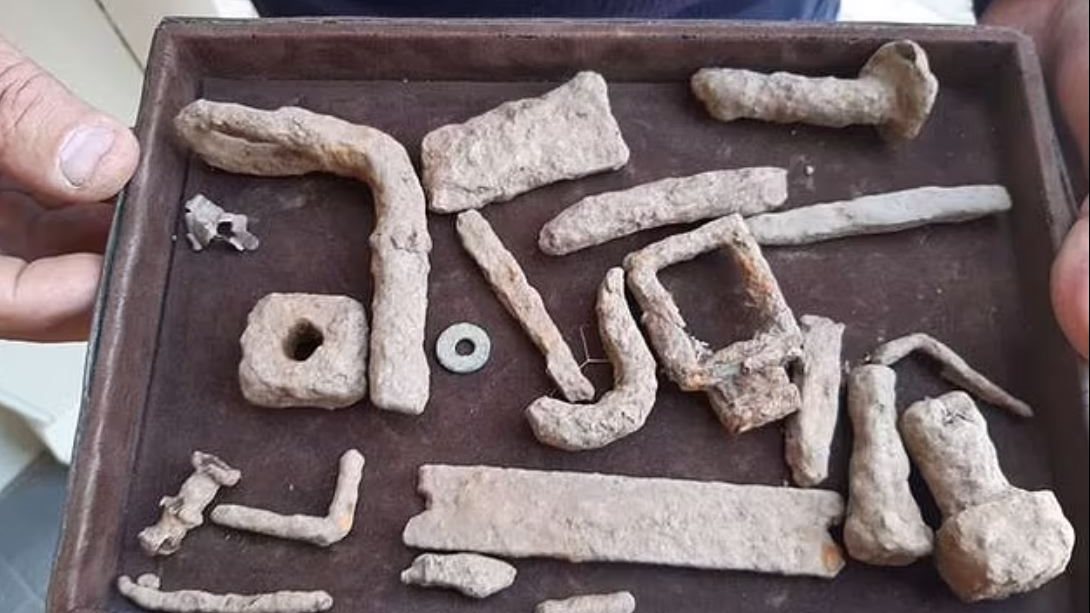 كنز ملكي