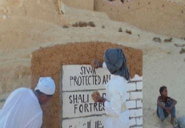 سيوة 
