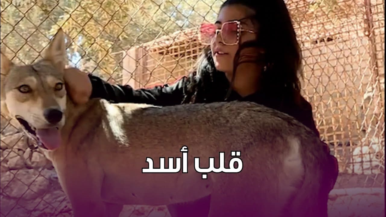 أصغر مدربة ضباع