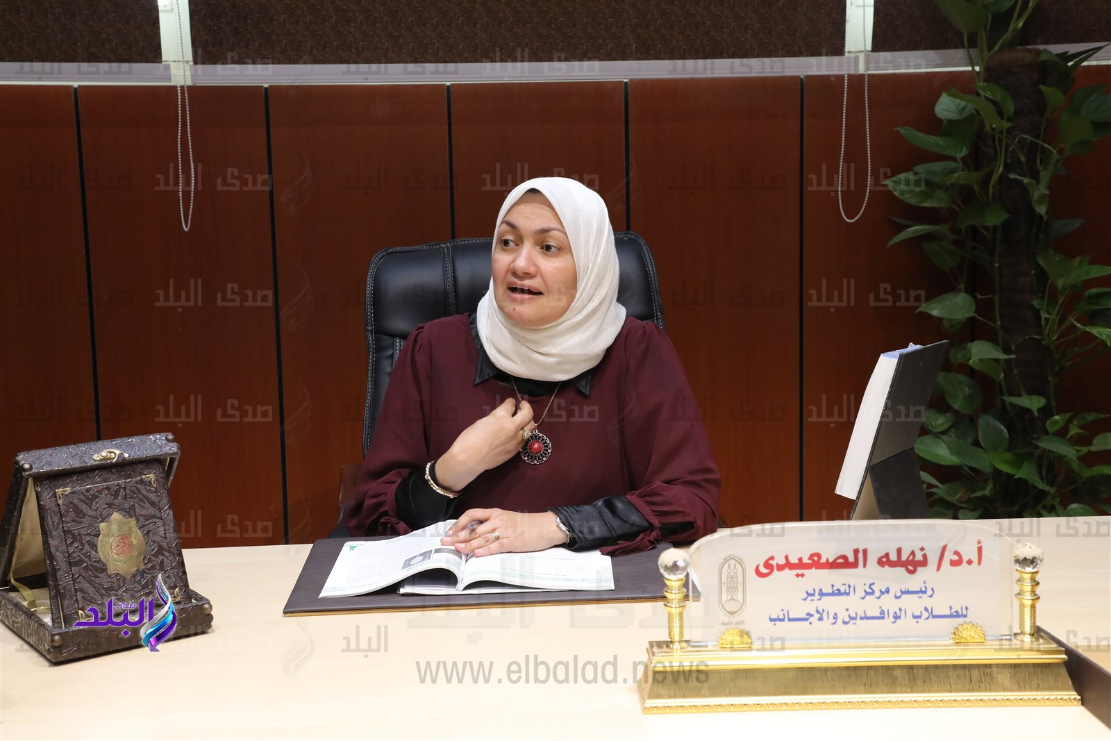 الدكتورة نهلة الصعيدي رئيس مركز تطوير تعليم الطلاب الوافدين