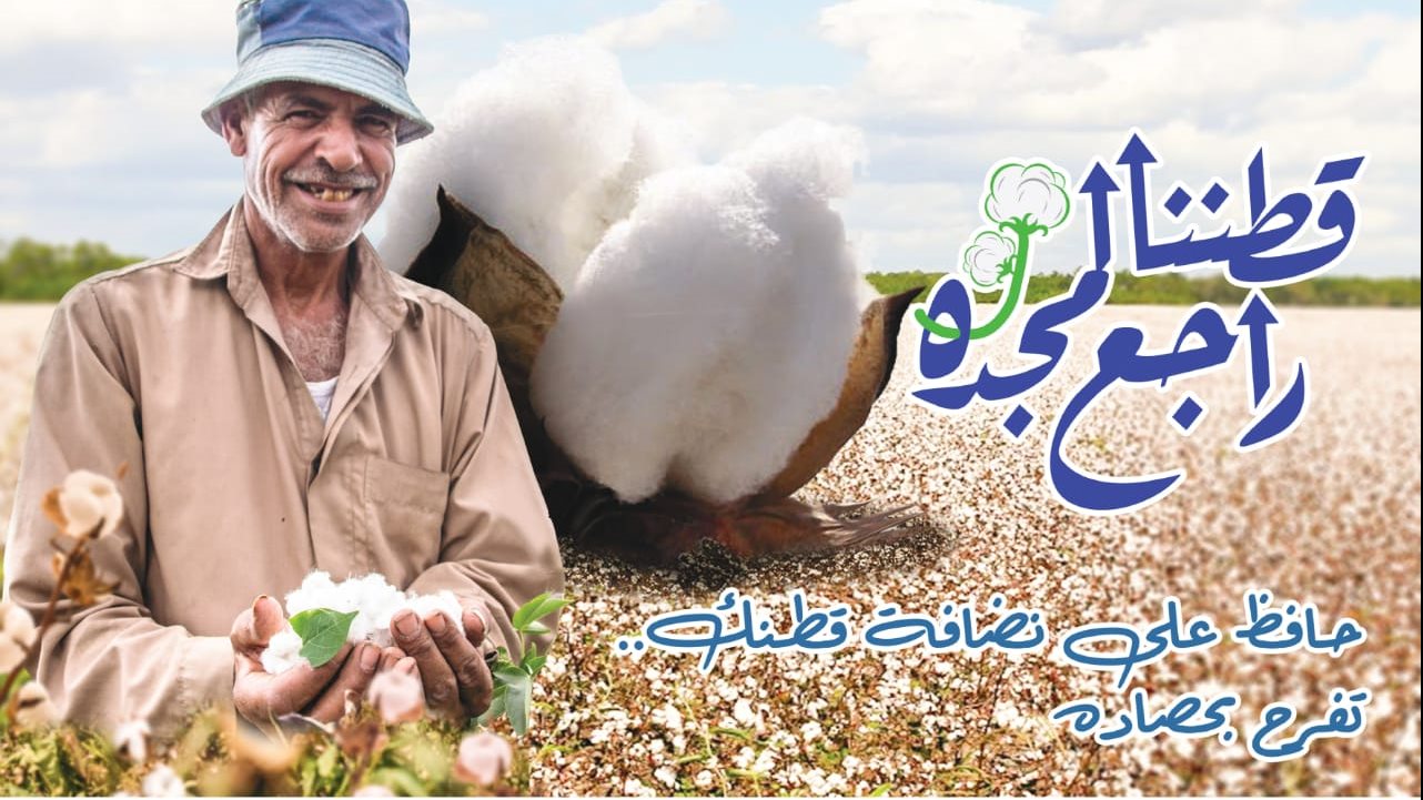 القطن المصرى