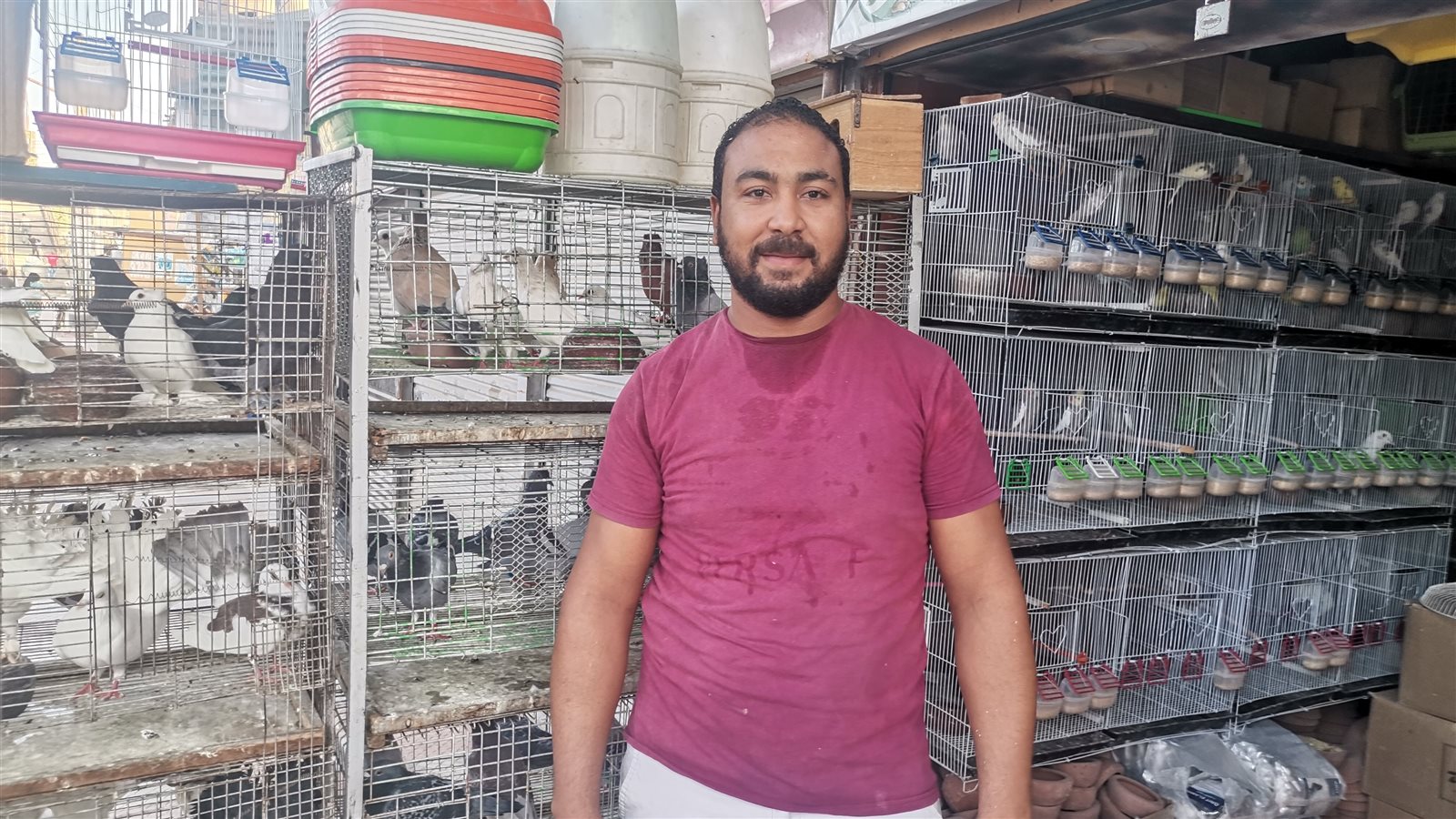 صاحب محل لبيع طيور الزينه بالمنيا 