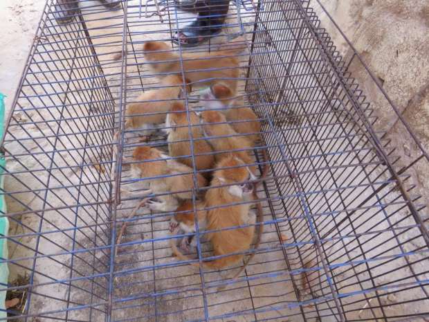 15999704231632502488