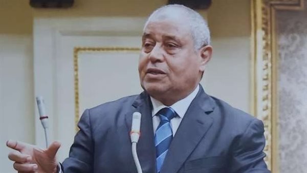 النائب إبراهيم عبد النظير ، عضو لجنة الخطة والموازنة 