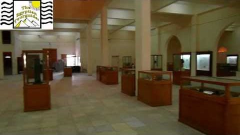 متحف الوادي الجديد
