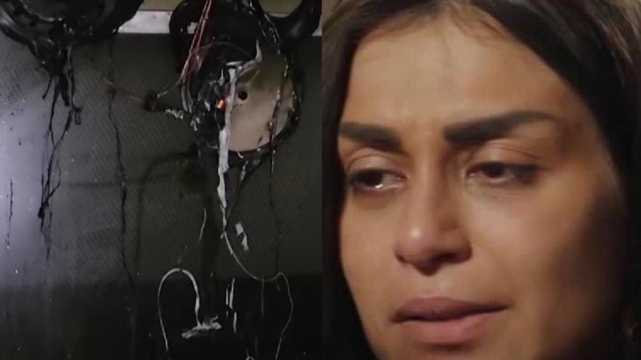 منة فضالي