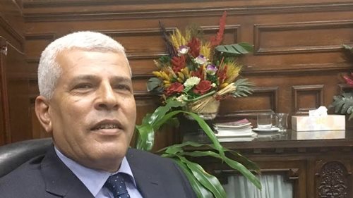 سيد خليفة نقيب الزراعيين