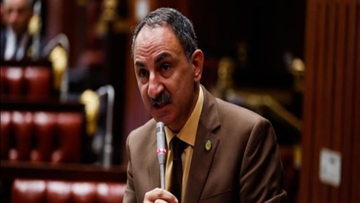  مجدي ملك عضو مجلس النواب 