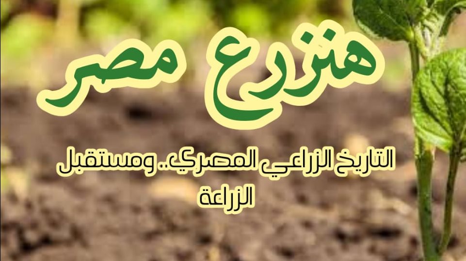 غلاف الكتاب 