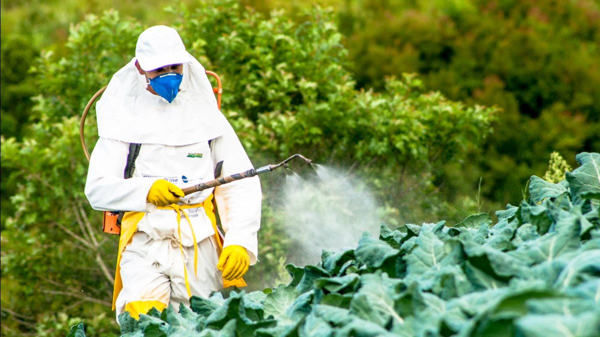 المبيدات الحشرية