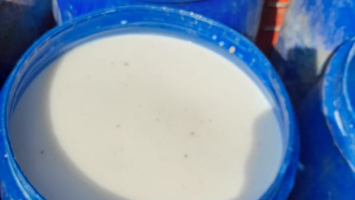 البان غير صالحة ببني سويف