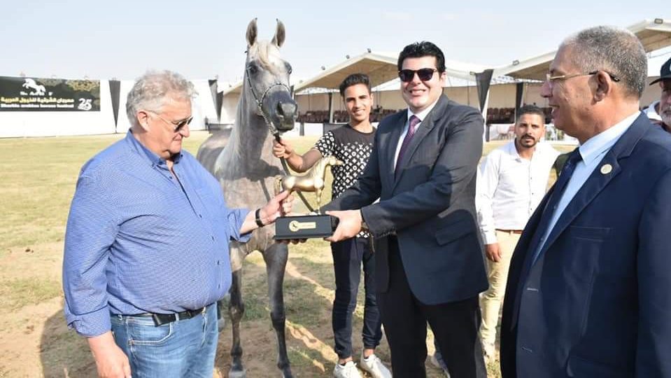 مهرجان الشرقية للخيول العربية