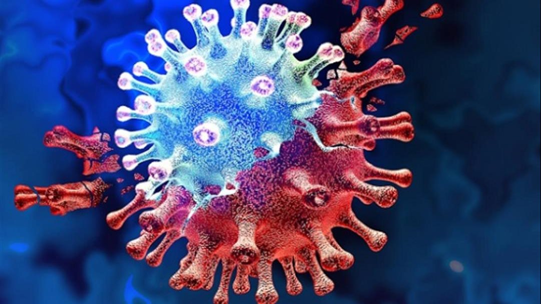 صورة أرشيفية ـ كورونا