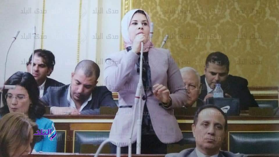 النائبة الدكتورة منى عبد العاطي