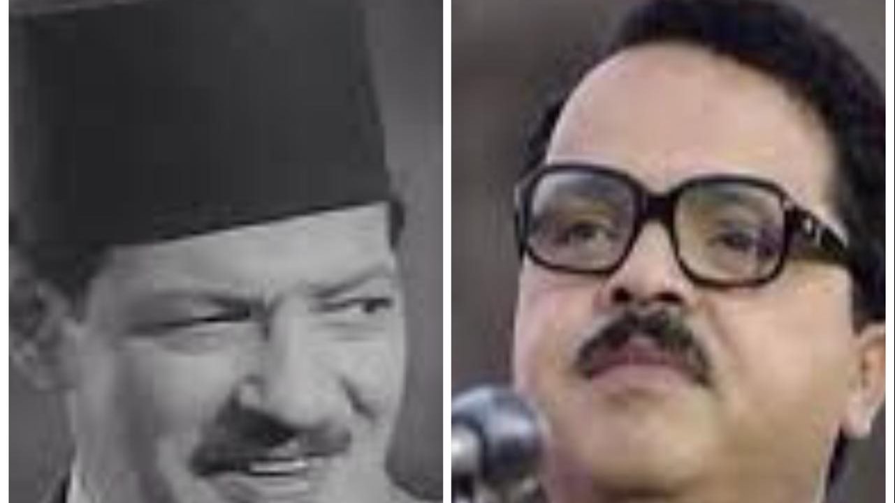 نجوم الفن 