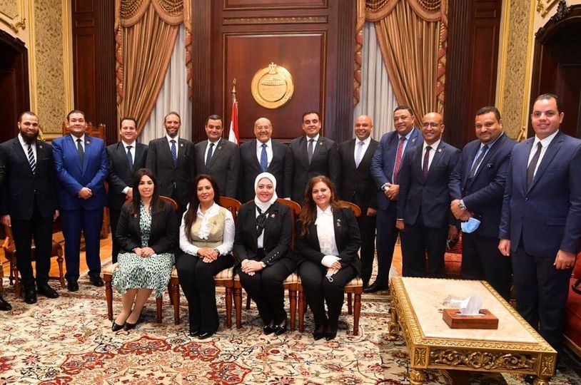 نواب التنسيقية بمجلس الشيوخ