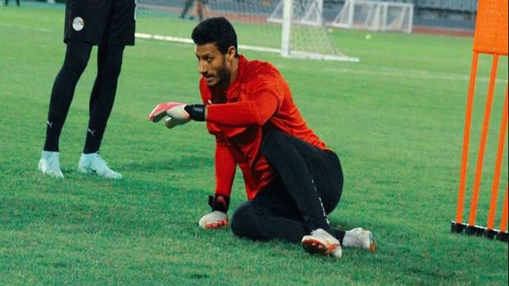 محمد الشناوي 