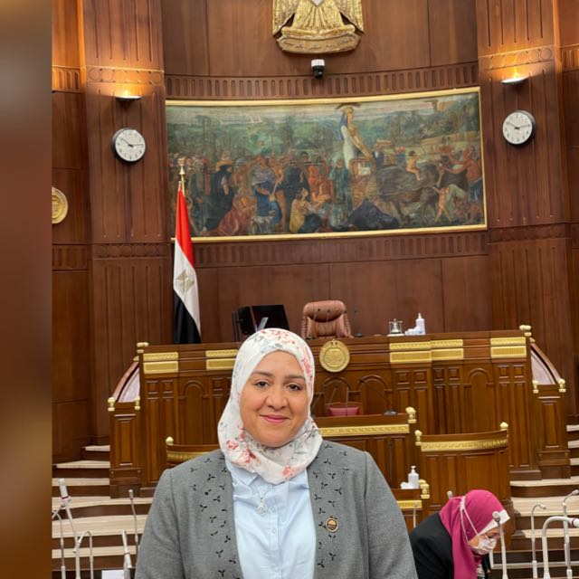 النائبة الدكتورة خضرة سالم