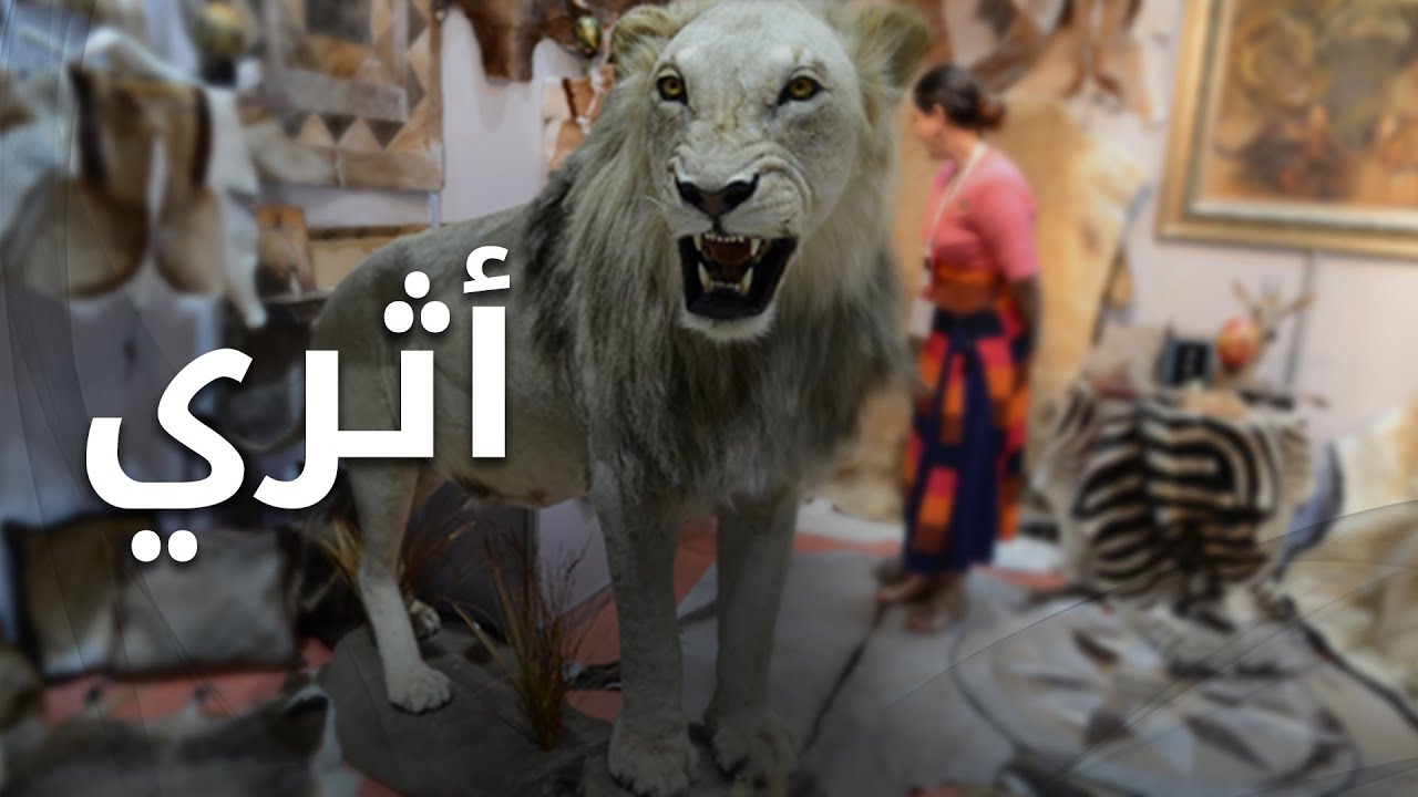 الأسد سيمبا الأثري
