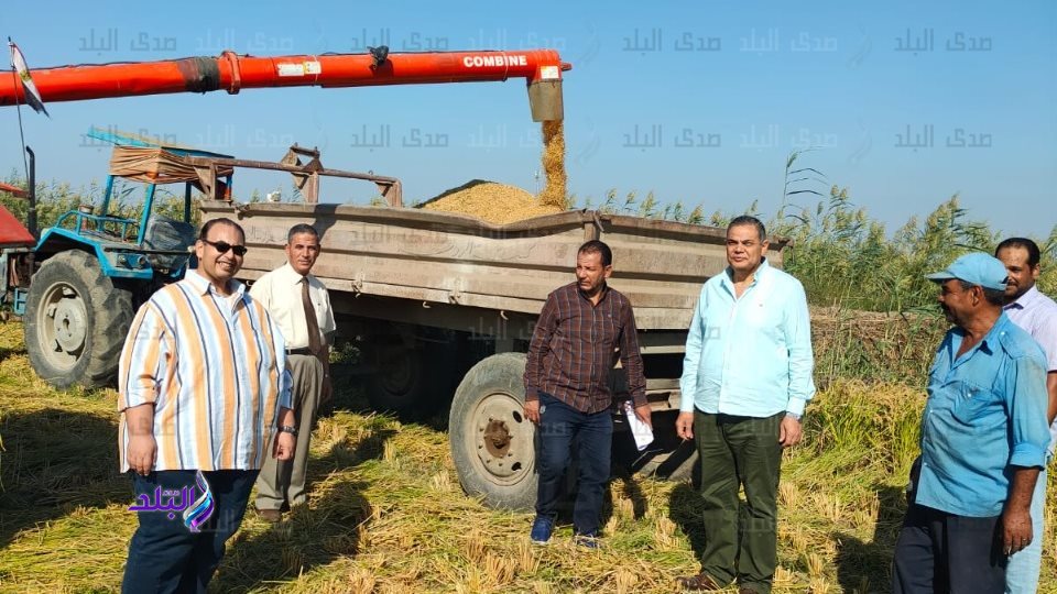 رئيس جامعة كفر الشيخ