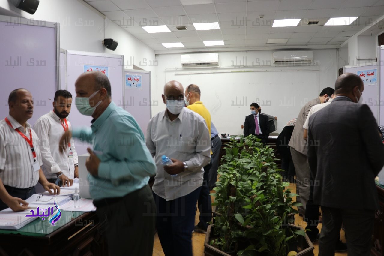 انتخابات التجديد النصفي