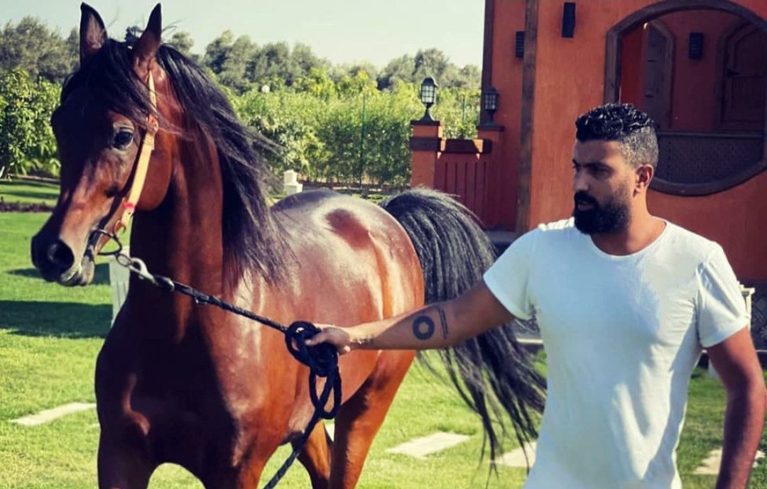 محمد سامي