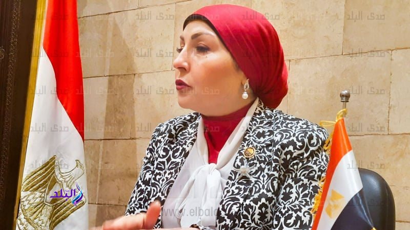 النائبة هالة أبوالسعد عضو مجلس النواب 