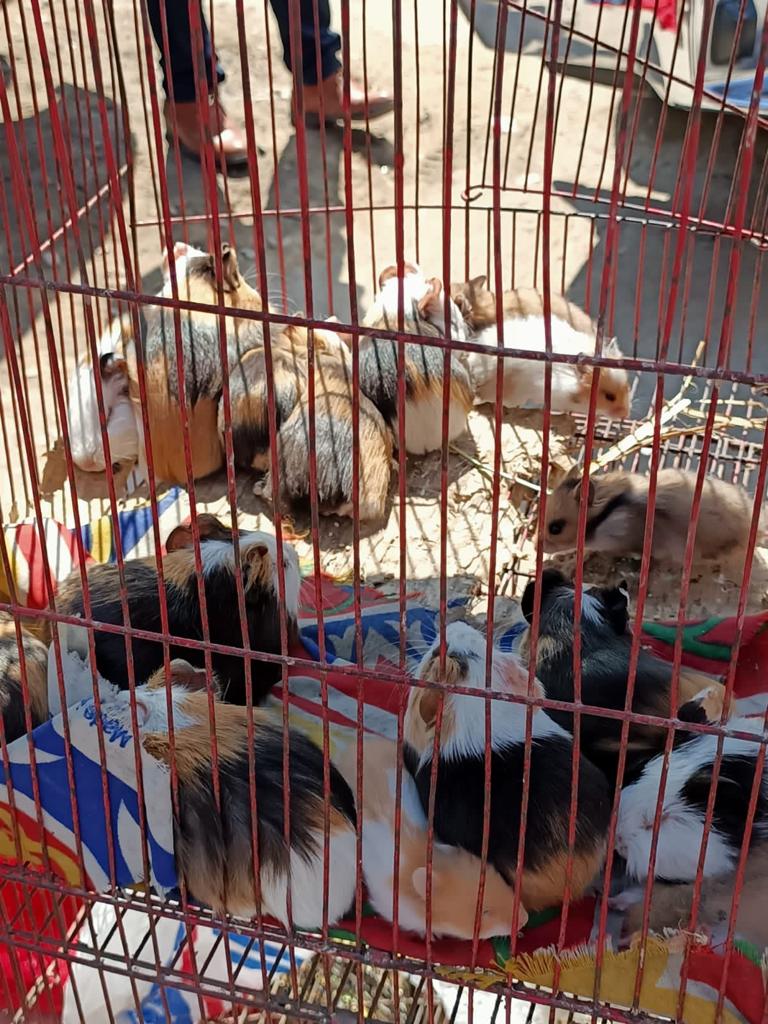 حملة على سوق الجمعة
