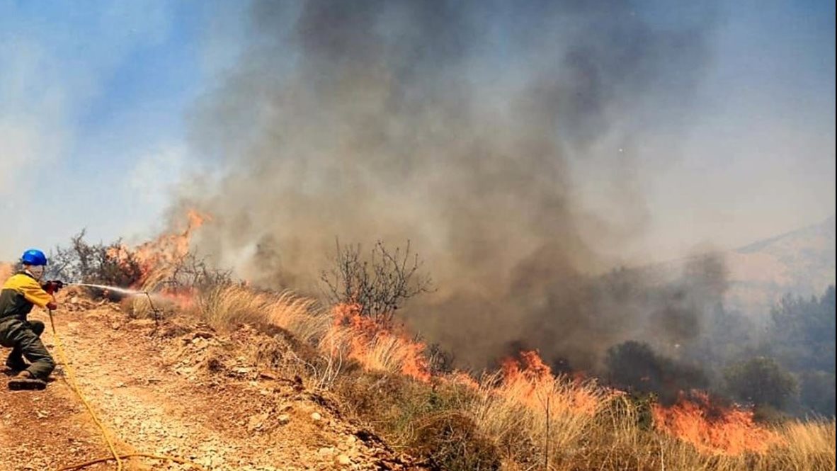 لبنان.. حرائق ضخمة تلتهم مساحات شاسعة من غابات عكار