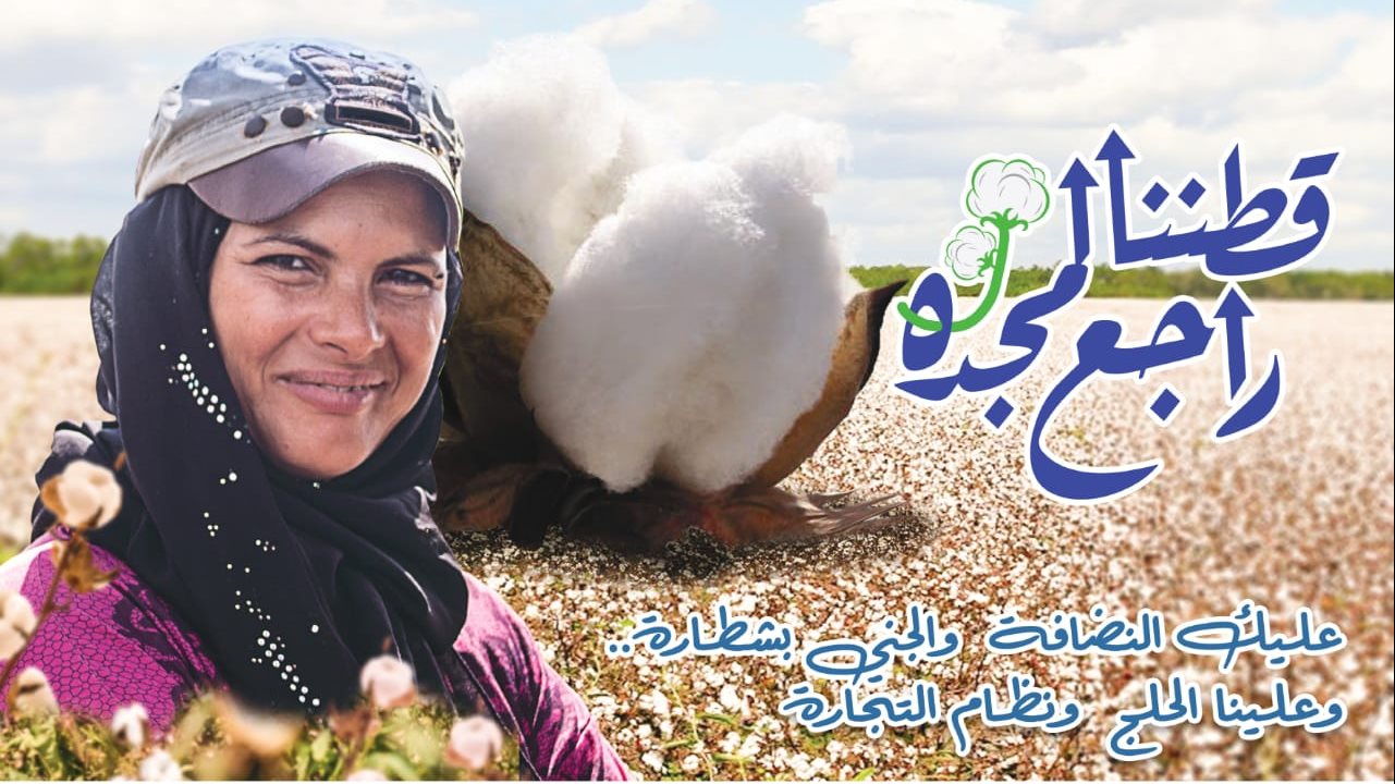 حصاد القطن