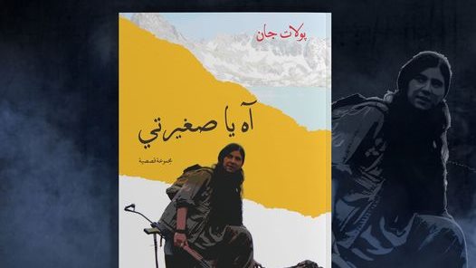 غلاف الكتاب 