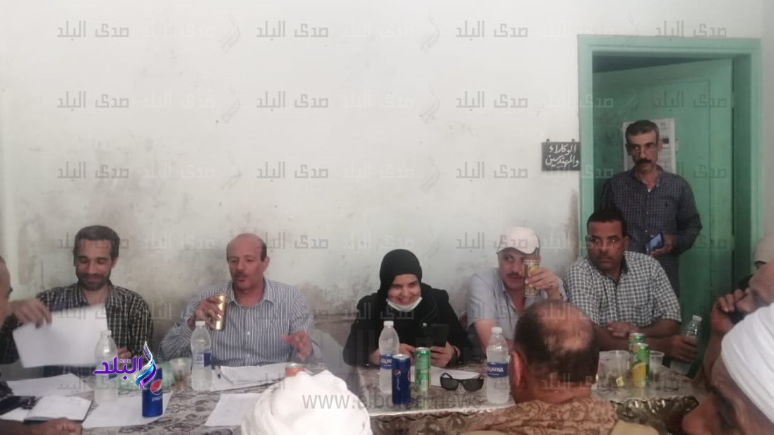 مزاد لبيع القطن بأسيوط