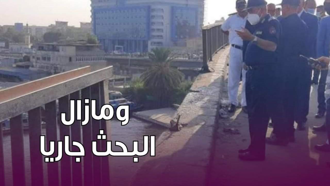 ميكروباص كوبري الساحل